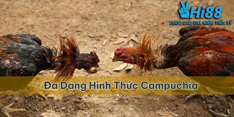 Thể Thao Hi88 - Sảnh Cá Cược Với Tỷ Lệ Cao Nhất Việt Nam