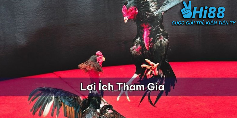 Cách Tham Gia và Trải Nghiệm Game Bài Hi88